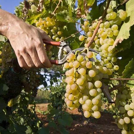 In With Terrace, Air Conditioning, Wi-fi, Washing Machine Daire *